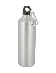 25 oz trek aluminum sports bottle - silver